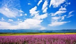 伊犁最新吃瓜,最新吃瓜资讯大盘点