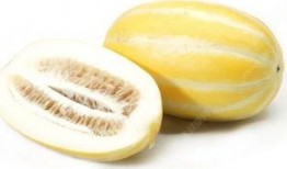 吃麻舌头瓜的症状,揭秘奇特口感背后的神秘症状