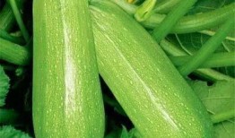 安其拉吃瓜,揭秘娱乐圈幕后风云