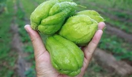 瓜哥带我们吃瓜,揭秘娱乐圈那些事儿