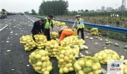 瓜哥吃瓜河南,揭秘河南的那些事儿