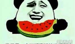吃瓜群众专心吃瓜的成语,吃瓜群众专心“吃瓜”