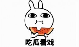 国乙吃瓜bot,网络舆论场的新宠儿