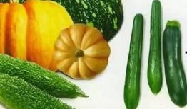 淘宝里的吃瓜,揭秘热门美食背后的故事