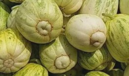 吃博讲瓜,揭秘娱乐圈幕后故事