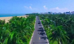 吃瓜群众看风景,吃瓜群众视角下的风景盛宴