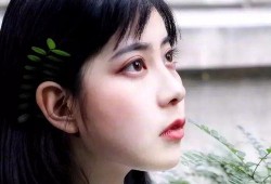 小唐老师吃瓜,揭秘娱乐圈那些不为人知的幕后故事