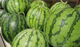 正正吃瓜,揭秘娱乐圈那些不为人知的幕后故事