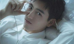 日常吃瓜陈飞宇,吃瓜日常，揭秘娱乐圈幕后故事