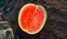 水族吃瓜,水族世界里的“吃瓜群众”趣闻录