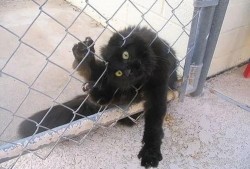 吃瓜被骗十块,十元损失揭示网络诈骗新花样