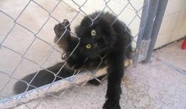 吃瓜被骗十块,十元损失揭示网络诈骗新花样