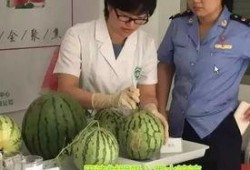 悠闲吃瓜群众直播,揭秘网红幕后生活
