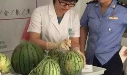 悠闲吃瓜群众直播,揭秘网红幕后生活