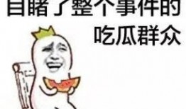 吃瓜群众的围巾
