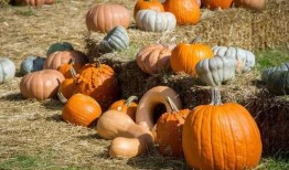 旧城以南吃瓜,探寻南城美食风情