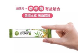吃益生菌能吃酉瓜吗,健康饮食的完美搭配指南