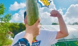 吃瓜网红拍照,镜头下的趣味瞬间