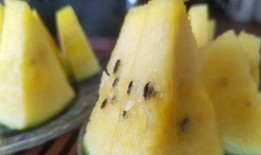 到现在都没有密瓜怎么吃,教你轻松掌握密瓜食用技巧