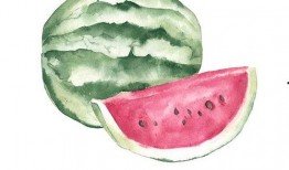 品如吃瓜,揭秘娱乐圈背后的那些事儿