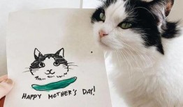 猫咪头像吃瓜图片卡通,卡通猫咪的趣味日常