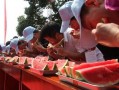 爱好在线吃瓜,跟随吃瓜爱好者畅游网络瓜界