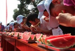 爱好在线吃瓜,跟随吃瓜爱好者畅游网络瓜界
