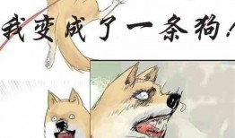 吃瓜看戏小说免费阅读,免费阅读小说中的悬疑世界