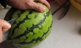 好多年没吃这品种的瓜了,探寻多年未尝的瓜类佳肴