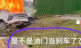 吃瓜吃到车祸,生活瞬间颠覆