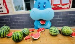 锦鲤吃瓜图片大全,趣味图片大盘点