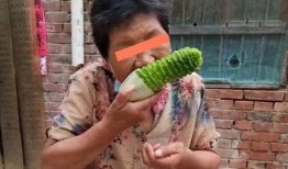 婆婆和儿媳吃瓜,笑料百出，家庭和谐新篇章