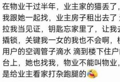 无言吃瓜,揭秘网络热议背后的真相与笑料