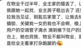 无言吃瓜,揭秘网络热议背后的真相与笑料
