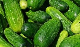 婷儿户外吃瓜,瓜果飘香乐翻天