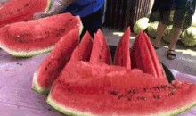 白鹿吃鸡瓜,吃鸡瓜背后的神秘传说