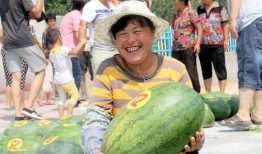 沙河乐园吃瓜事件,一场意外的“瓜”界风波