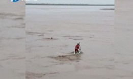 吃瓜直播大橘,吃瓜群众的狂欢盛宴