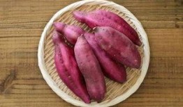 怀孕土瓜可以吃吗,土瓜的食用安全与营养益处