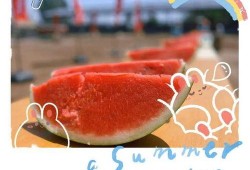 吃的很认真瓜,探寻美食中的专注与享受