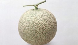 怀孕天天吃哈密瓜好吗,营养与健康的双重守护