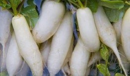 亚东 财经吃瓜,揭秘财经圈吃瓜背后的真相与启示