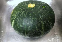 成都金沙公园吃瓜,悠闲生活新体验