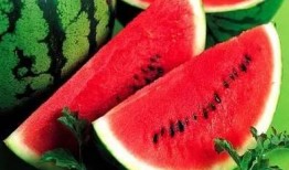 春季吃瓜好吗,吃瓜也能养生吗？