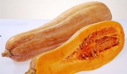 xixi吃瓜备用,娱乐圈背后的瓜田奇谈