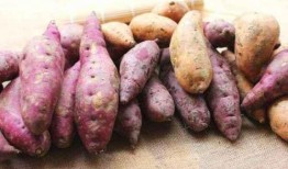 发霉的瓜切掉吃,巧手处理发霉瓜果的秘诀