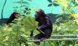 吃瓜看窗外,揭秘娱乐圈幕后故事