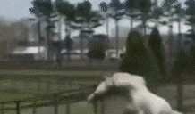 下雨吃瓜梳头动态,夏日悠闲时光记