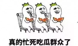 吃瓜观众的自我修养,解锁观瓜自我修养之道