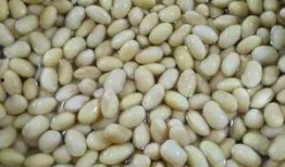 吃瓜大料全集,揭秘娱乐圈幕后真相